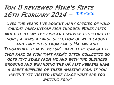 Mikes Rifts Review 4